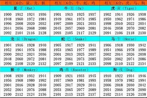 2002年五行属什么|2002年属什么生肖属相 2002年属什么生肖属于什么命